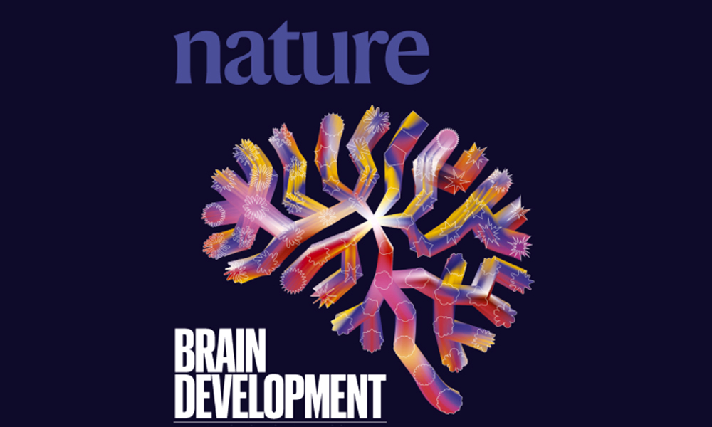 Image by Jasiek Krzysztofiak/Nature