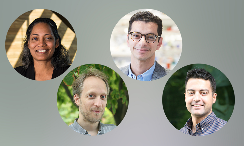 (l tor) Victoria D'Souza, Doeke Hekstra, Mo Khalil, and Max Prigozhin